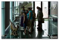 museum_0