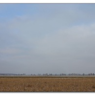 opellner-land.jpg opellner-land.jpg