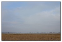 opellner-land.jpg