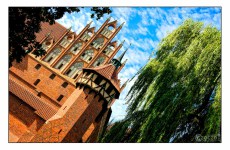 20150721-IMG_1397-Malbork