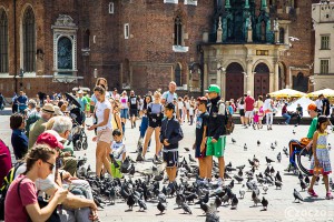 20190703-Rynek-Krakowski-20190712-000121