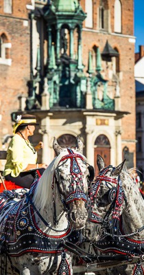 20190703-Rynek-Krakowski-20190712-000184