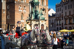 20190703-Rynek-Krakowski-20190712-000184