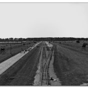 auschwitzii auschwitzii