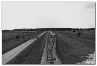 auschwitzii