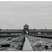 auschwitziv auschwitziv