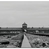auschwitziv auschwitziv