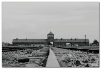 auschwitziv