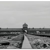 auschwitziv