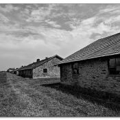 auschwitzvi auschwitzvi