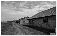 auschwitzvi