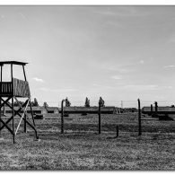 auschwitzviii auschwitzviii
