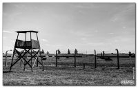 auschwitzviii