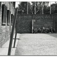 auschwitzx auschwitzx