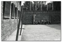auschwitzx