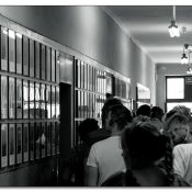 auschwitzxiii auschwitzxiii