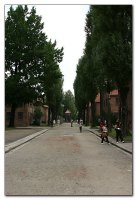 img_8088.jpg