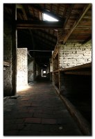img_8130.jpg