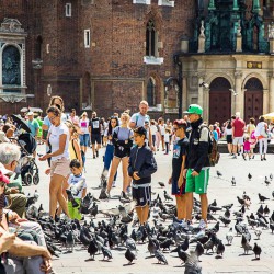 20190703-Rynek-Krakowski-20190712-000121