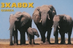 3xa8dx.jpg