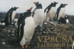 vp8csa.jpg