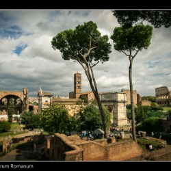 20151005-IMG_4245-Forum Romanum