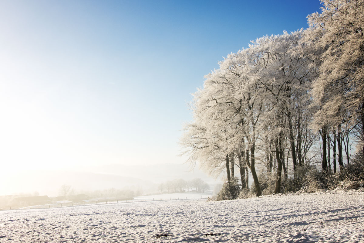 Winter Erinnerung - https://czoczo.de