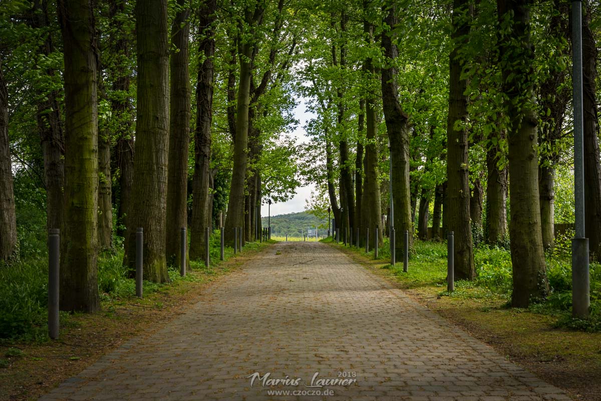 20180430 - Allee