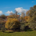 1_20241023-9A1A1646-Herbst