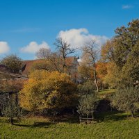 1_20241023-9A1A1646-Herbst