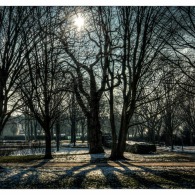 20150206-wintertag 20150206-wintertag