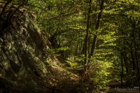 20180812 - IMG_7234 - HELIOS 44M