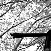 20200517-Schwelm-Park-9A1A7390