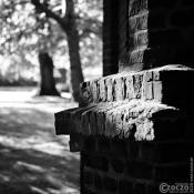 20200517-Schwelm-Park-9A1A7396 20200517-Schwelm-Park-9A1A7396