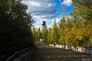 2022-10-08-9A1A9943-Westpark-