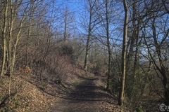 20220212-9A1A4891-ON1-Baldeneysee-