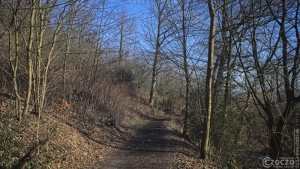 20220212-9A1A4891-ON1-Baldeneysee-