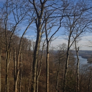 20220212-9A1A4897-ON1-Baldeneysee-