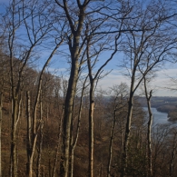 20220212-9A1A4897-ON1-Baldeneysee- 20220212-9A1A4897-ON1-Baldeneysee-