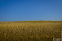 20220304-_A1A5347C-ON1-Ukraina