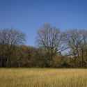 20220304-_A1A5354-ON1-Landschaft