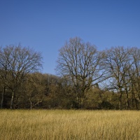 20220304-_A1A5354-ON1-Landschaft