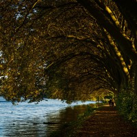 20221005-9A1A9839-Bearbeitet-BaldeneySee