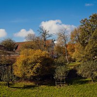 20241023-9A1A1646-Herbst