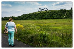 24. Mai 2015 - Tiger & Turtle - 8827