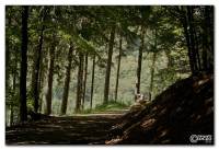 elfringhauser-schweiz-img-2551