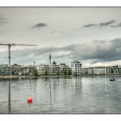 20150913-IMG_2769-Phoenixsee