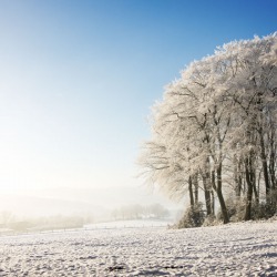 20170118-IMG_8684-Winter Erinnerung