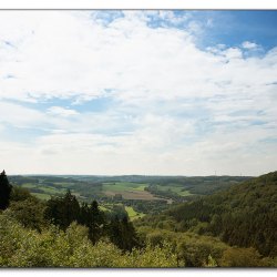 elfringhauser-schweiz-img-2530