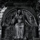 1_20220626-9A1A9026-ON1-Adolf-Wollstein